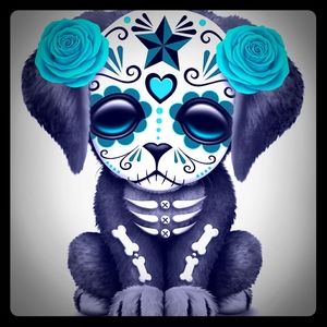 Meet your Posher, Larissa